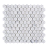 Carrara White 1'' Hexagon polished Mosaic